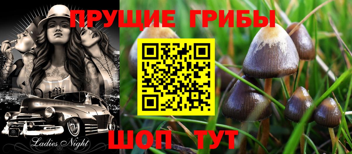Северск  Псилоцибиновые грибы GOLDEN TEACHER  Вход с VPN 