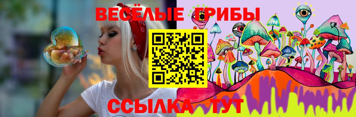 Галлюциногенные грибы Magic Shrooms Северск